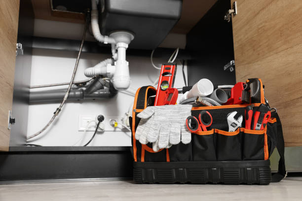 Best Same-Day Plumbing Service  in Fredonia, AZ